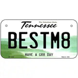 Best Mate Novelty Metal License Plate Tag 6" x 3" (BP)