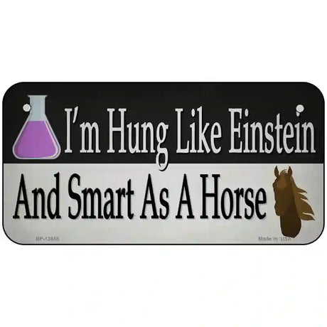 Hung Like Einstein Novelty Metal License Plate Tag 6" x 3" (BP)