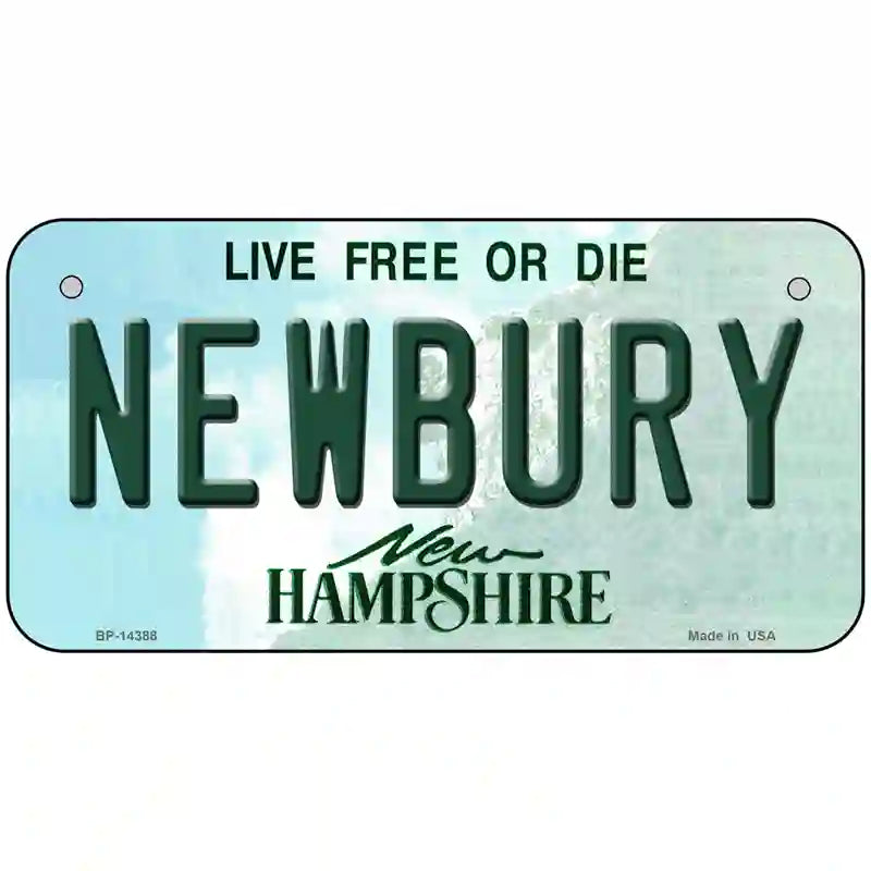 Newbury New Hampshire Novelty Metal License Plate 6" x 3" (BP)