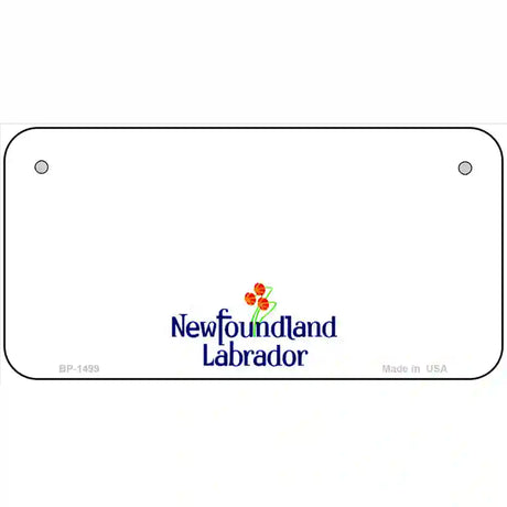 Newfoundland Novelty Metal License Plate 6" x 3" (BP)