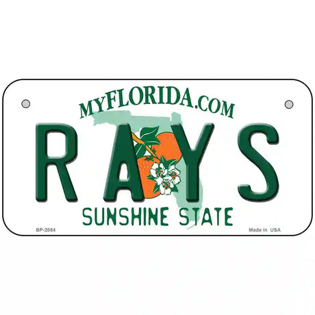 Rays Florida State Metal Novelty License Plate 6" x 3" (BP)