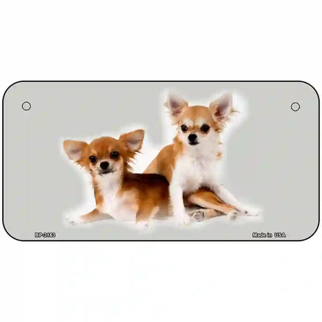 Chihuahua Dog Metal Novelty License Plate 6" x 3" (BP)