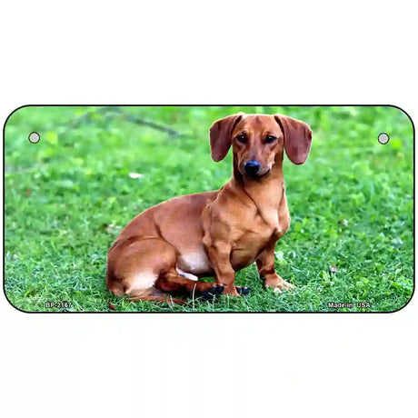 Dachshund Dog Metal Novelty License Plate 6" x 3" (BP)