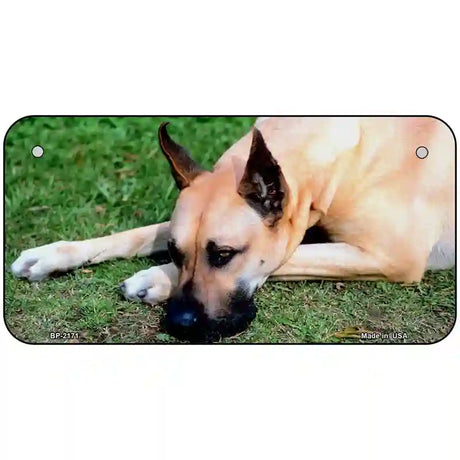 Great Dane Dog Metal Novelty License Plate 6" x 3" (BP)