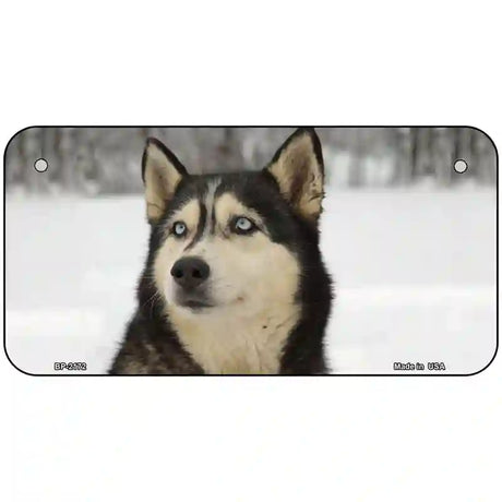 Husky Dog Metal Novelty License Plate 6" x 3" (BP)