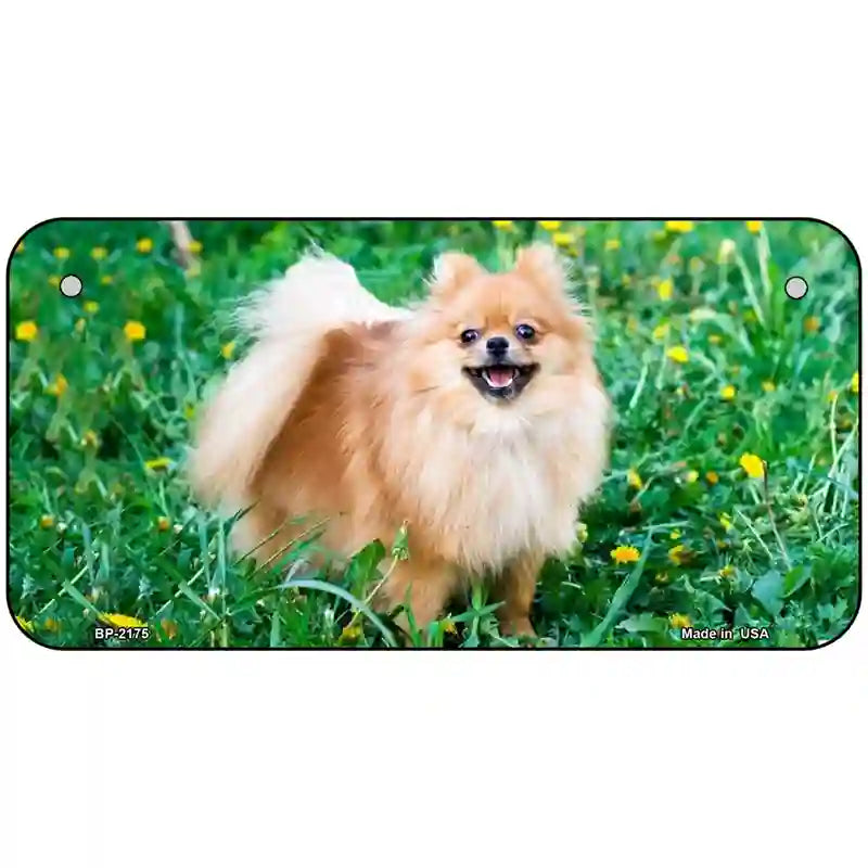 Pomeranian Dog Metal Novelty License Plate 6" x 3" (BP)