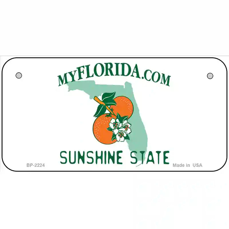 Florida State Blank Novelty Metal License Plate 6" x 3" (BP)