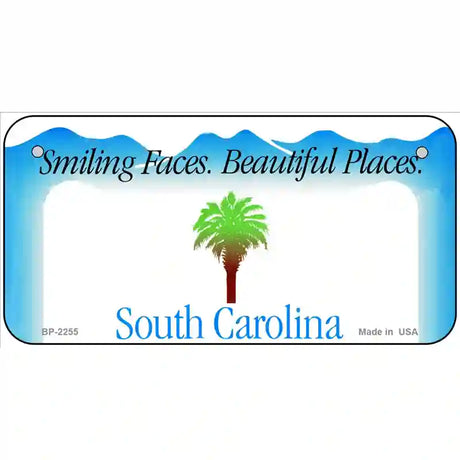 South Carolina Novelty State Blank Metal License Plate 6" x 3" (BP)