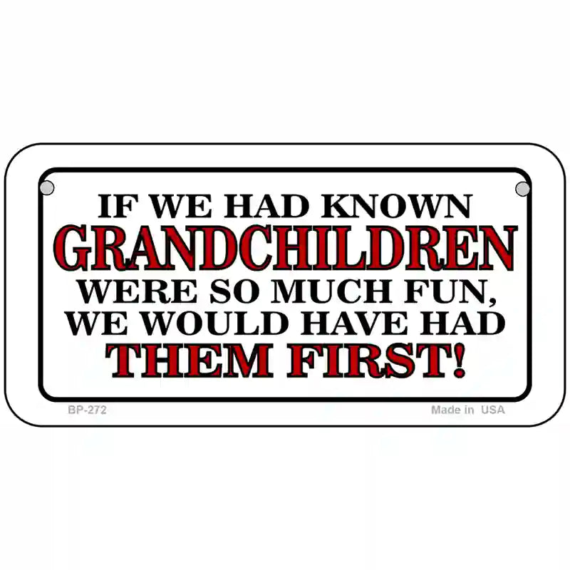 Grandchildren First Metal Novelty License Plate 6" x 3" (BP)