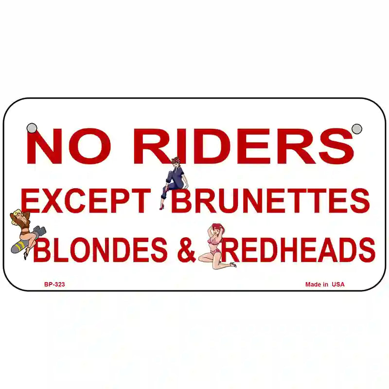 No Riders Except Metal Novelty License Plate 6" x 3" (BP)