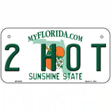 2 Hot Florida Novelty Metal License Plate 6" x 3" (BP)