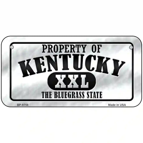 Property Of Kentucky Novelty Metal License Plate 6" x 3" (BP)