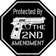 Protected By The 2nd Amendment Gun Wholesale Novelty Metal Octagon Sign