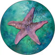 Starfish Aqua Novelty Metal Circle Sign 12" (C)