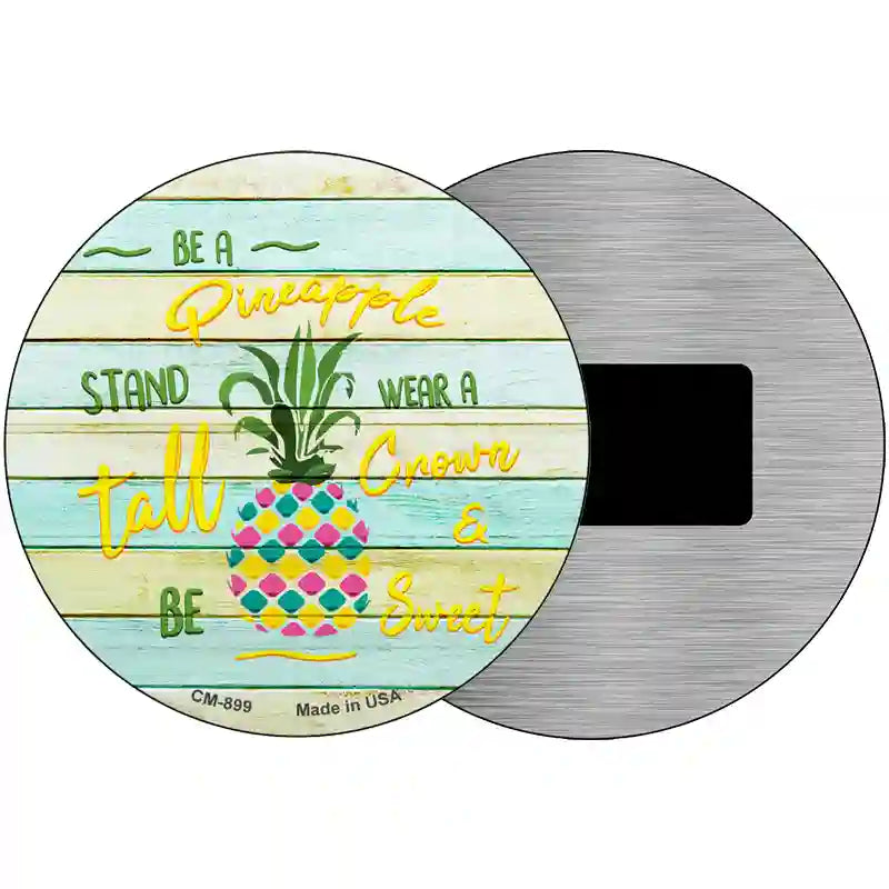 Be A Pineapple Novelty Metal Circle Sign 3.5" (CM)