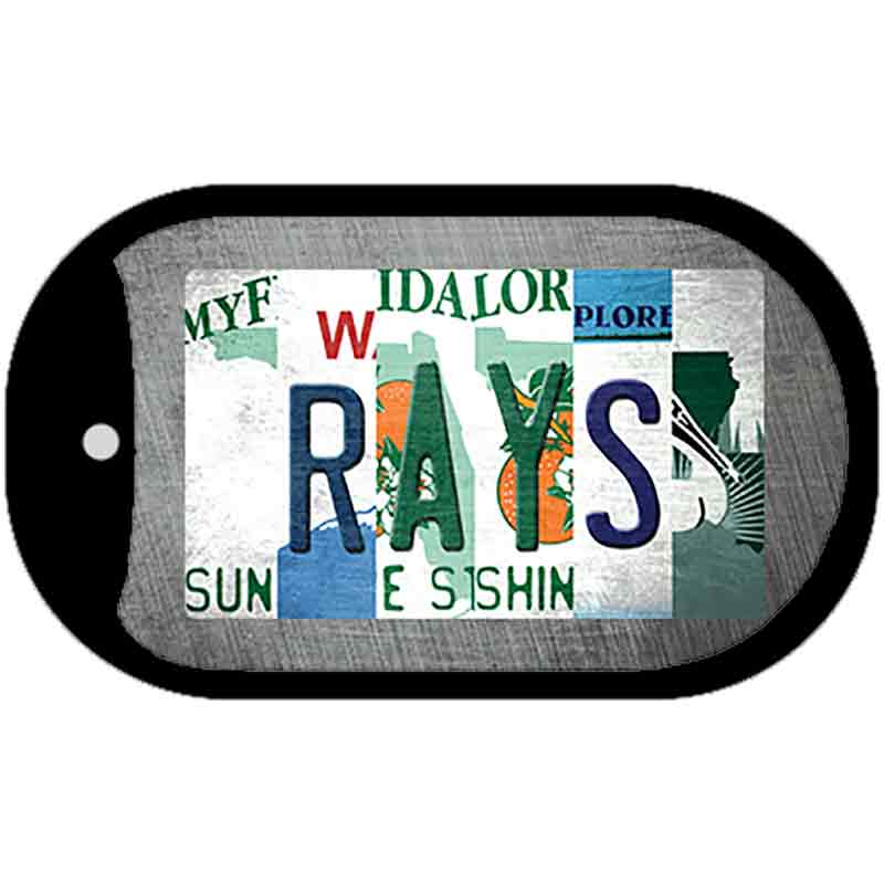Rays Strip Art Novelty Metal Dog Tag Necklace DT-13206