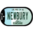 Newbury New Hampshire Novelty Metal Dog Tag Necklace