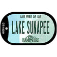 Lake Sunapee New Hampshire Novelty Metal Dog Tag Necklace