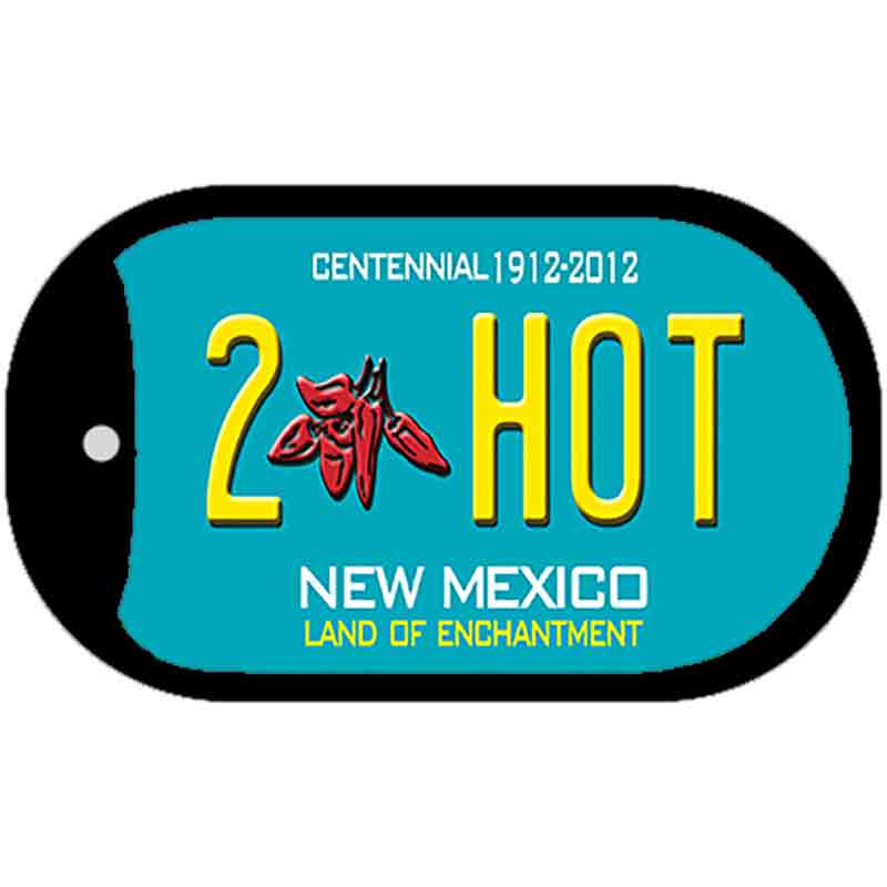 2 Hot Teal New Mexico Novelty Metal Dog Tag Necklace DT-6676