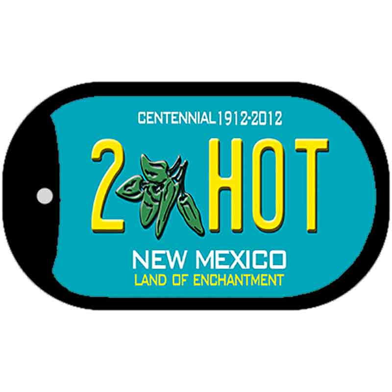 2 Hot Teal New Mexico Novelty Metal Dog Tag Necklace DT-6697