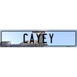 Cayey Puerto Rico Novelty Metal European License Plate