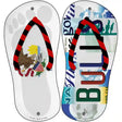 IL Flag|Bulls Strip Art Novelty Metal Flip Flops (Set of 2)