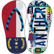 NC Flag|Panthers Strip Art Novelty Metal Flip Flops (Set of 2)