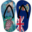 Stingray and Turtle|Cayman Islands Flag Novelty Metal Flip Flops (Set of 2)