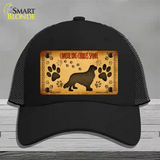 Cavalier King Charles Spaniel Novelty License Plate Hat Mesh / Black