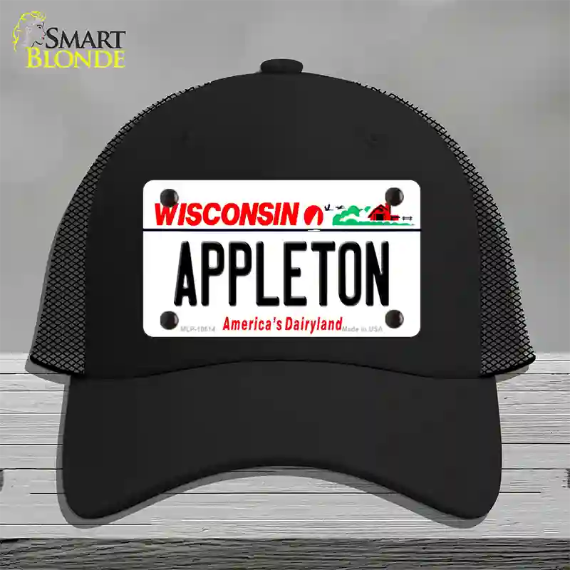 Appleton Wisconsin Novelty License Plate Hat Mesh / Black