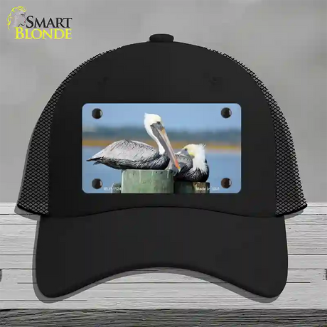 Pelican Two On Pier Novelty License Plate Hat Mesh / Black