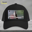 Hummingbird Perched On Branch Novelty License Plate Hat Mesh / Black