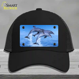 Dolphins Novelty License Plate Hat Mesh / Black