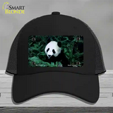 Panda Bear Novelty License Plate Hat Mesh / Black