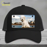 Bichon Frise Dog Novelty License Plate Hat Mesh / Black