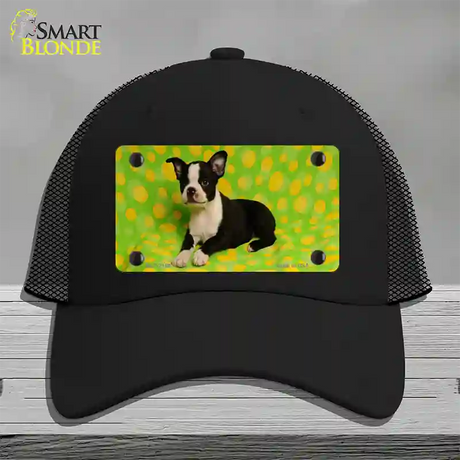 Boston Terrier Dog Novelty License Plate Hat Mesh / Black