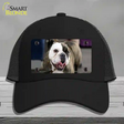 Bulldog Dog Novelty License Plate Hat Mesh / Black