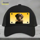 Chocolate Labrador Retriever Dog Novelty License Plate Hat Mesh / Black