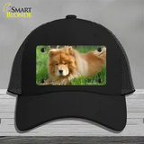 Chow Chow Dog Novelty License Plate Hat Mesh / Black