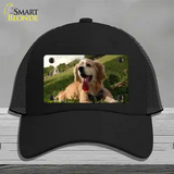 Cocker Spaniel Dog Novelty License Plate Hat Mesh / Black