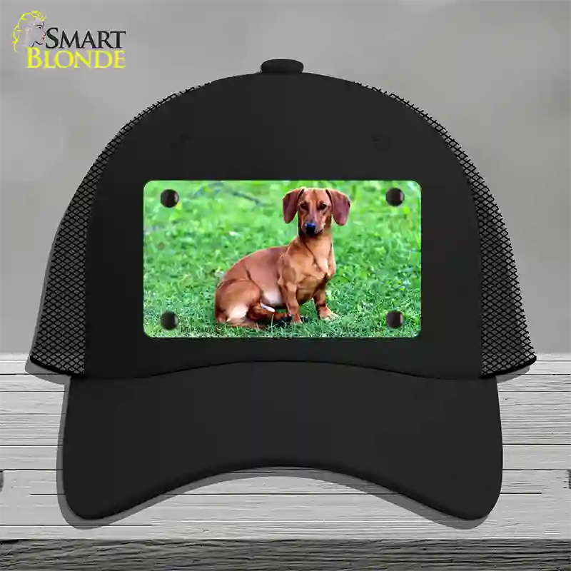 Dachshund Dog Novelty License Plate Hat Mesh / Black