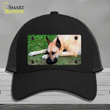 Great Dane Dog Novelty License Plate Hat Mesh / Black