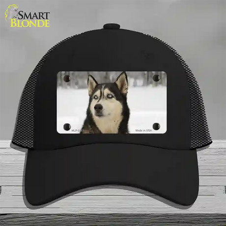 Husky Dog Novelty License Plate Hat Mesh / Black