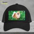 Pomeranian Dog Novelty License Plate Hat Mesh / Black