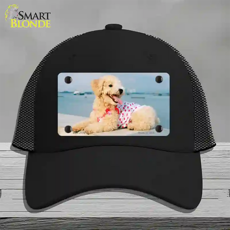 Poodle Dog Novelty License Plate Hat Mesh / Black