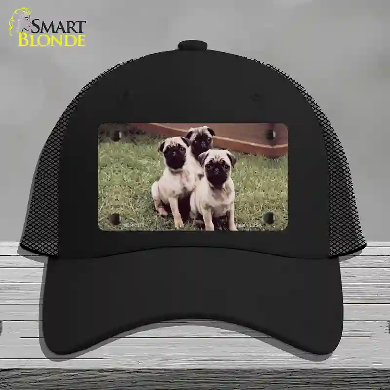 Pug Dog Novelty License Plate Hat Mesh / Black