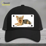 Yorkshire Terrier Dog Novelty License Plate Hat Mesh / Black