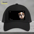 Bull Dog Offset Novelty License Plate Hat Mesh / Black