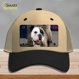 Bulldog Dog Novelty License Plate Hat Mesh / Khaki|Black