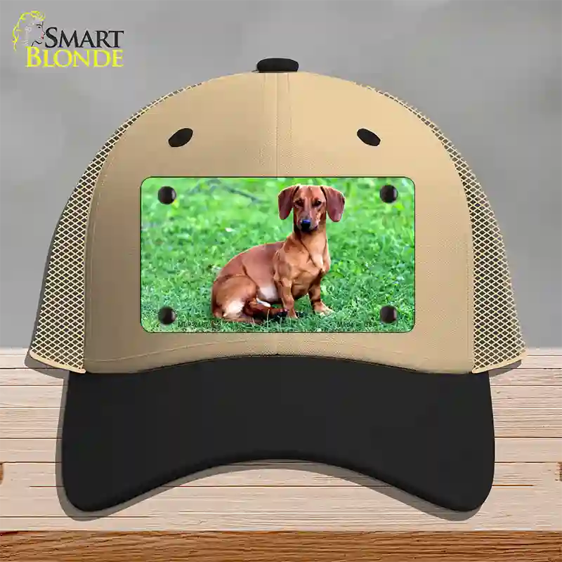 Dachshund Dog Novelty License Plate Hat Mesh / Khaki|Black